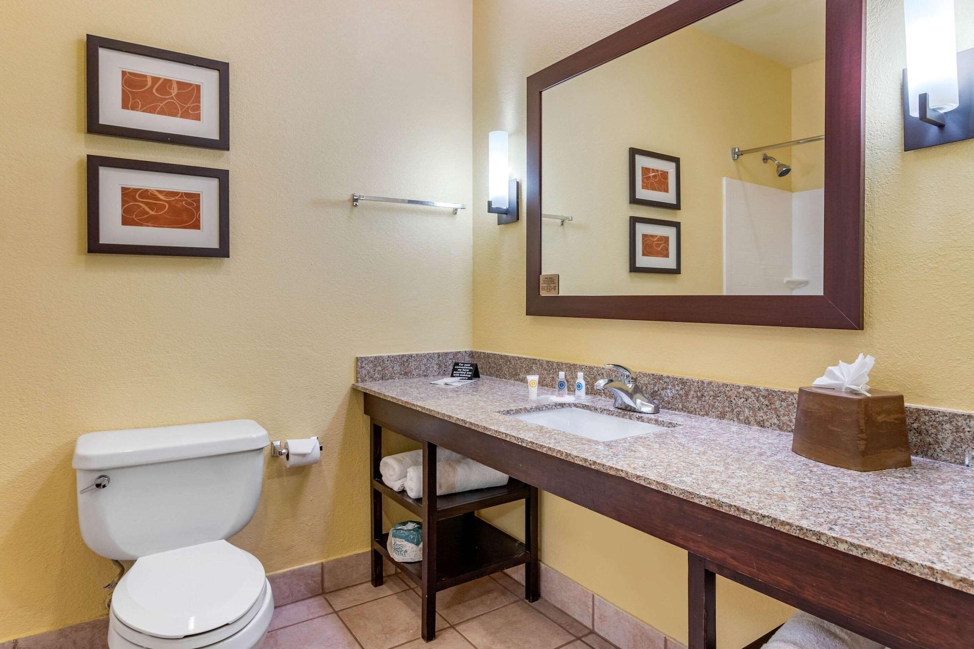 Comfort Suites - Near The Galleria Хюстън Екстериор снимка