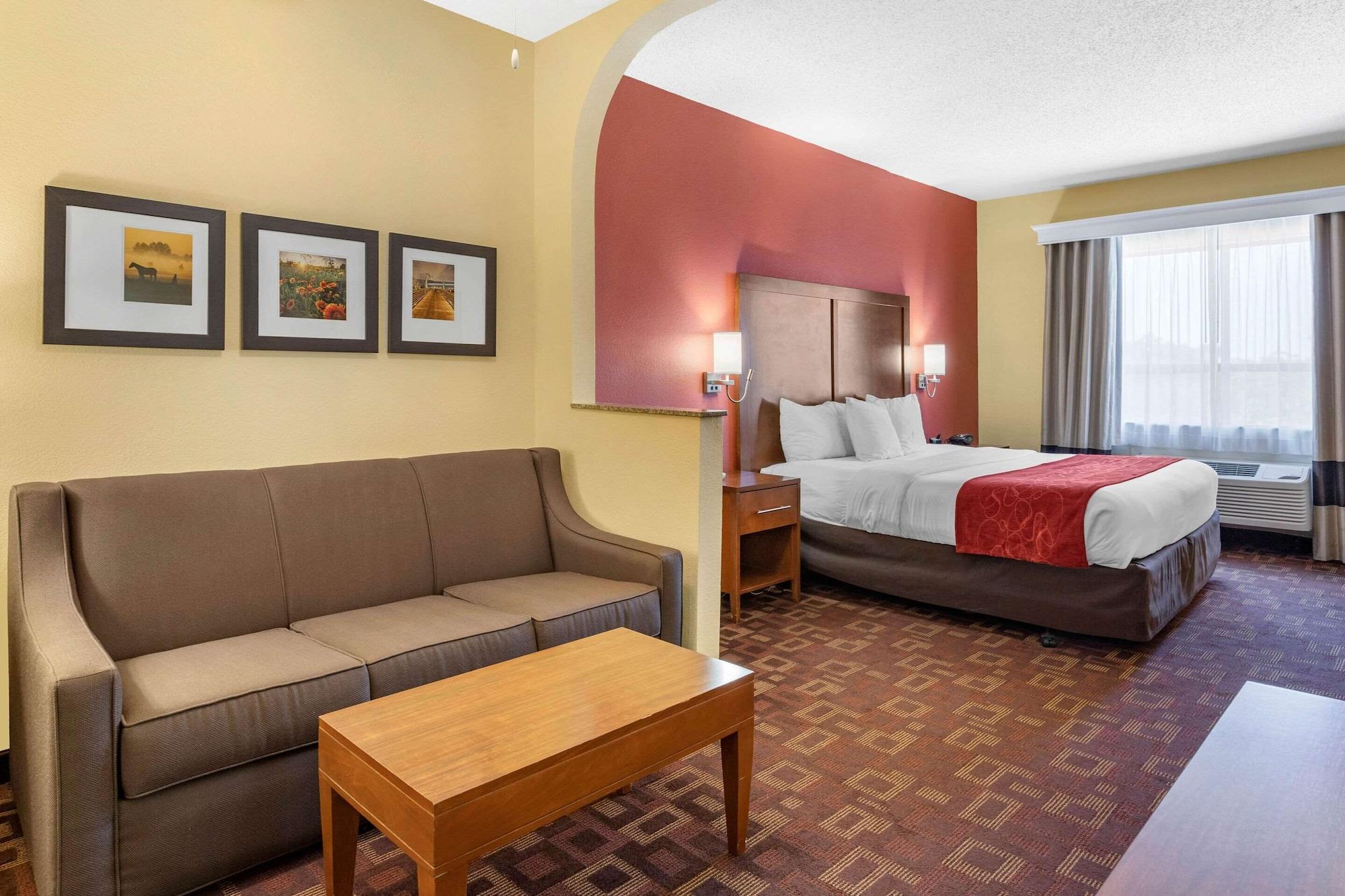 Comfort Suites - Near The Galleria Хюстън Екстериор снимка